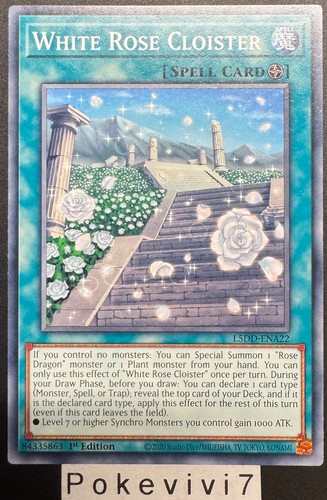 Carte white rose - carte,
