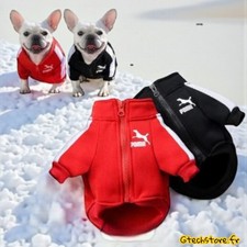 Veste baseball chien hiver - de,