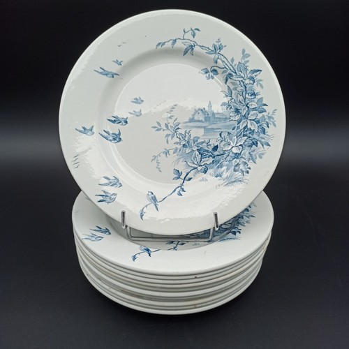 Assiettes plates en - 12,