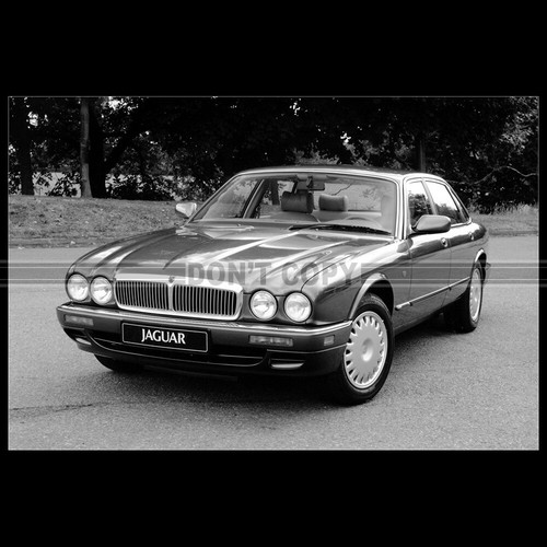 Photo 010969 jaguar xj6 - jaguar,