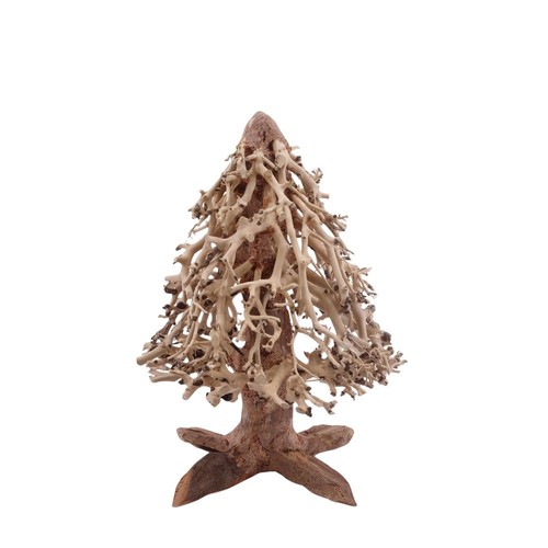 Bonsaï mammut arbre racine - bonsaï,