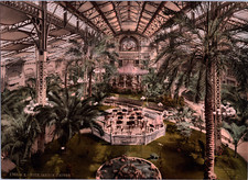 France, Nice. Le Jardin d’hiver, intérieur.   vintage print photochromie, vint