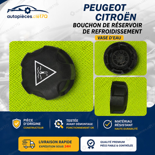Bouchon vase peugeot - vase,