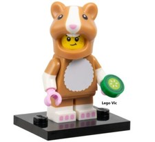 Lego 71048 Figurine Série 27