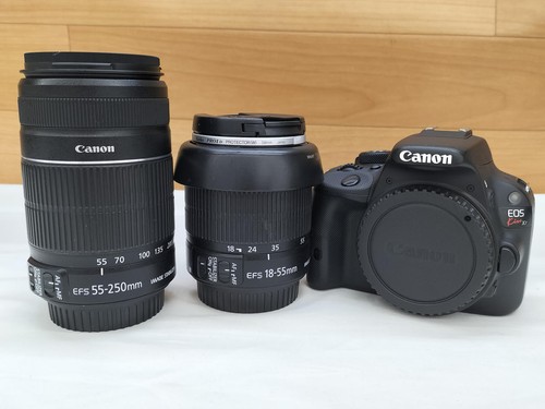 Appareil photo reflex