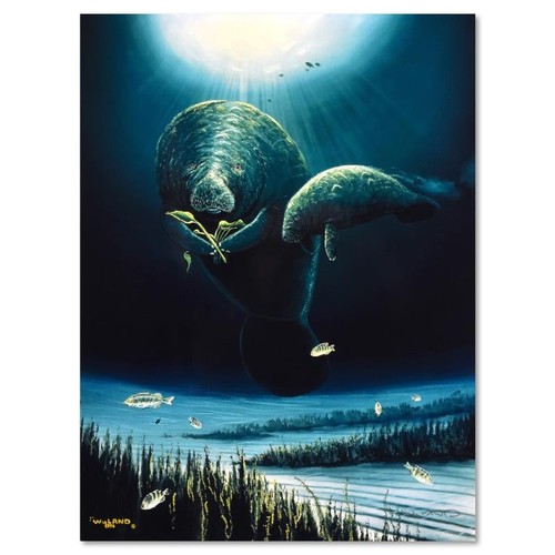 Wyland sauvez les lamantins - wyland,