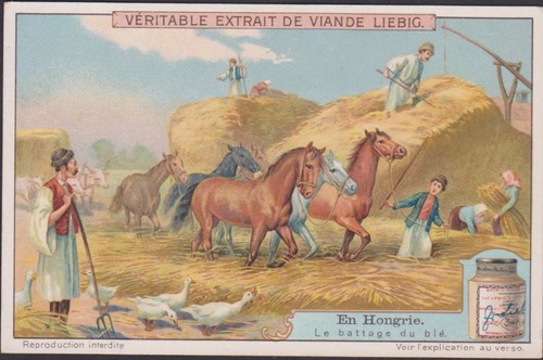 Chromo ancien liebig - ancien,