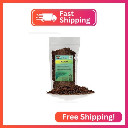 Premium new zealand tree - new,