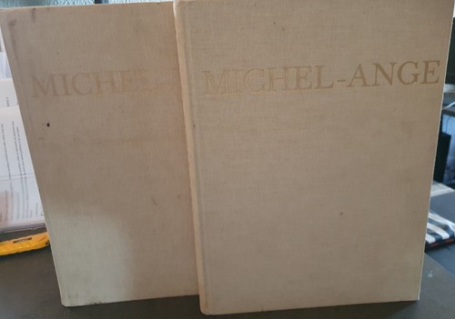 Michel ange artiste - l'artiste, sa