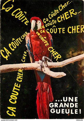 Carte postale animaux - carte,