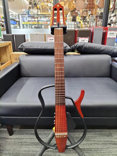 Guitare acoustique électrique