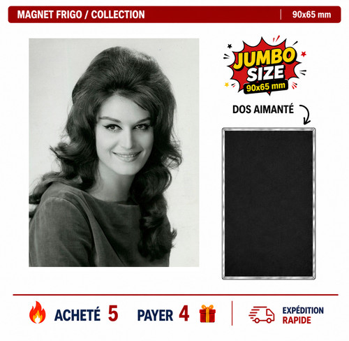 Magnet frigo dalida ver 27 - frigo,