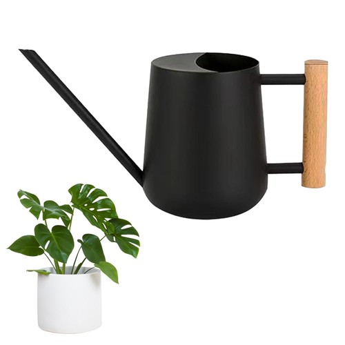 Arrosoir acier inoxydable - en,