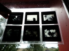 LOT DIAPOSITIVES FILM / POLANSKI / CUL-DE-SAC