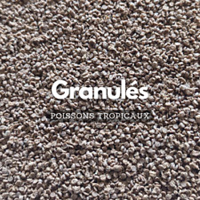 Granulés pour cichlidés -