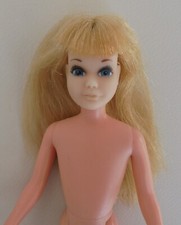 Barbie Skipper Fun Time Europe