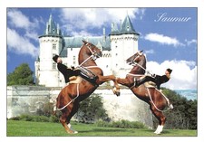 49 SAUMUR ECOLE D EQUITATION