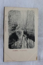 Etampes, le juineteau, Essonne 91