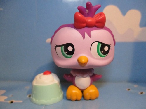 Petshop chouette hibou - chouette,