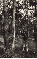 PILAT Plage - Le Gemmeur