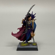 Foncé Elfe Noir Arche Fleetmaster Warhammer The Old le Monde Peint Lord Wfb