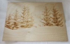 Pyrographie A4 Photo Forêt Alpine Neigée Gravée Laser Contreplaqué 