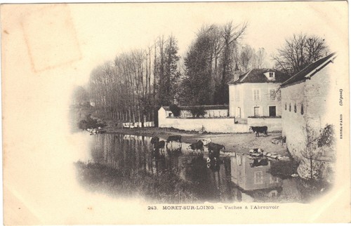 Moret sur loing vache à - moret,