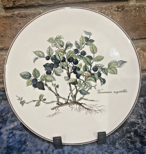Villeroy boch botanica - villeroy,