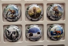 NEWS   CAPSULES DE CHAMPAGNE  Chasse 2025 générique 