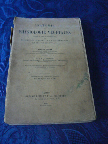 Anatomie physiologie vegetales - anatomie,