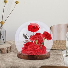 Cloche en verre avec socle