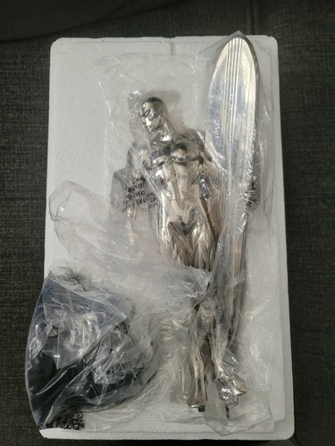 Bowen chrome silver - silver, surfer