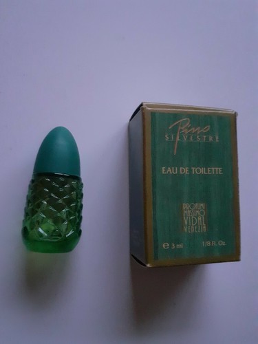 Miniature pino sylvestre eau - pino,