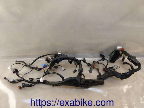 Faisceau electrique pour - electrique, honda