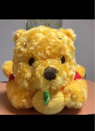 Disney winnie the - the, pooh