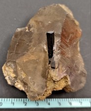 CRISTAL tourmaline noire avec terminaison sur quartz fumé qualité gemme 193 gram