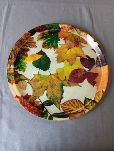 Plateau fibre verre - de,