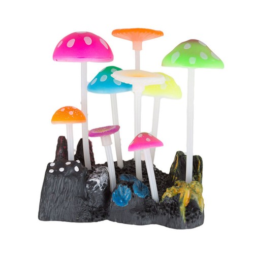 Joli décor champignons - joli,