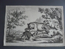 "OURS ET CHIENS" CHASSE ET