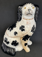 Chien STAFFORDSHIRE, en