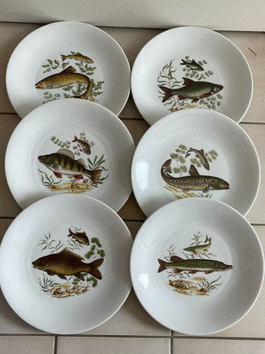 6 assiettes à - 🐈‍⬛,