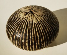 Superbe vase boule de Stella