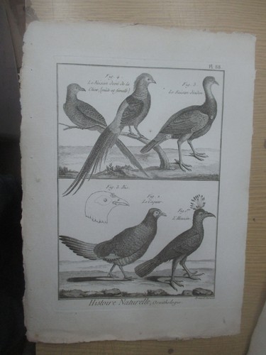 Gravure vers 1780