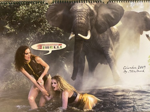 Calendrier pirelli 2009 par - 2009,