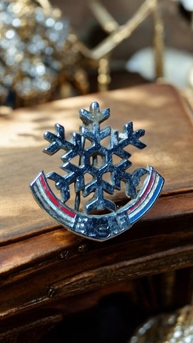 Broche médaille vintage - broche, esf