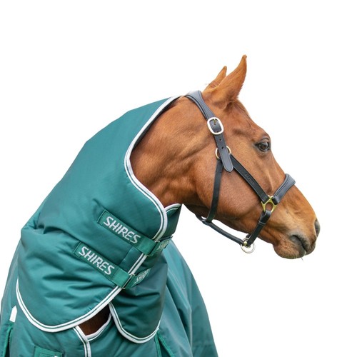 Shires couvre cou pour - -, couvre-cou