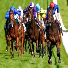 Méthode de TURF:  TITANIUM