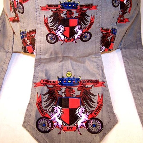 Biker brother bandana - bandana, skull