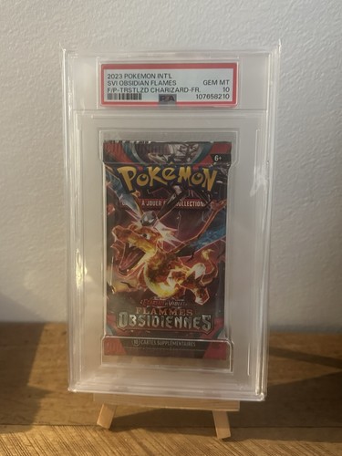 2023 pokemon flammes - pokemon,