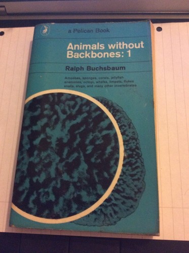 Book animals without - animals,